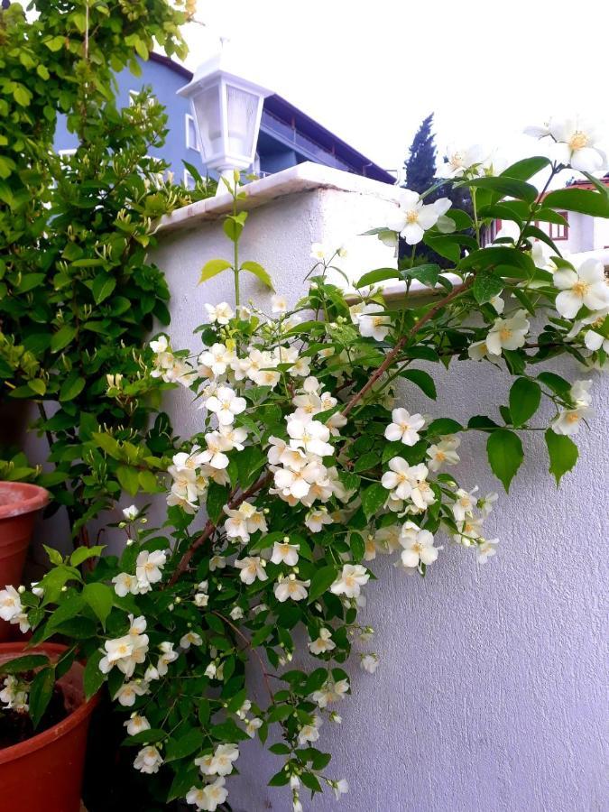 Paradise House Памуккале Екстериор снимка
