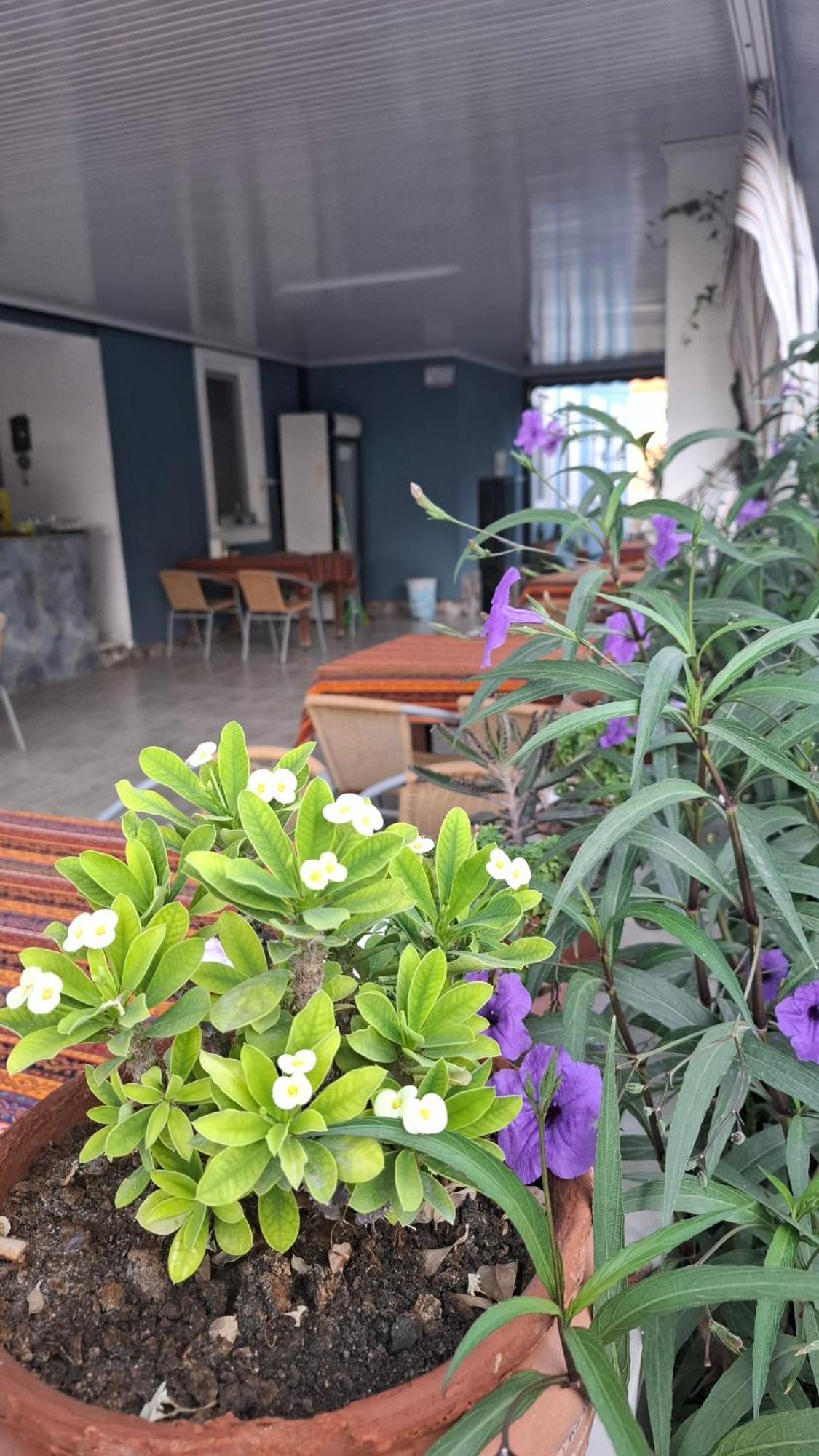 Paradise House Памуккале Екстериор снимка